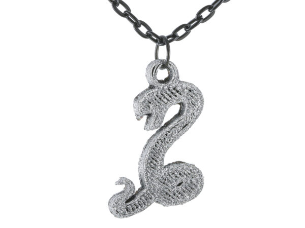 Snake Front